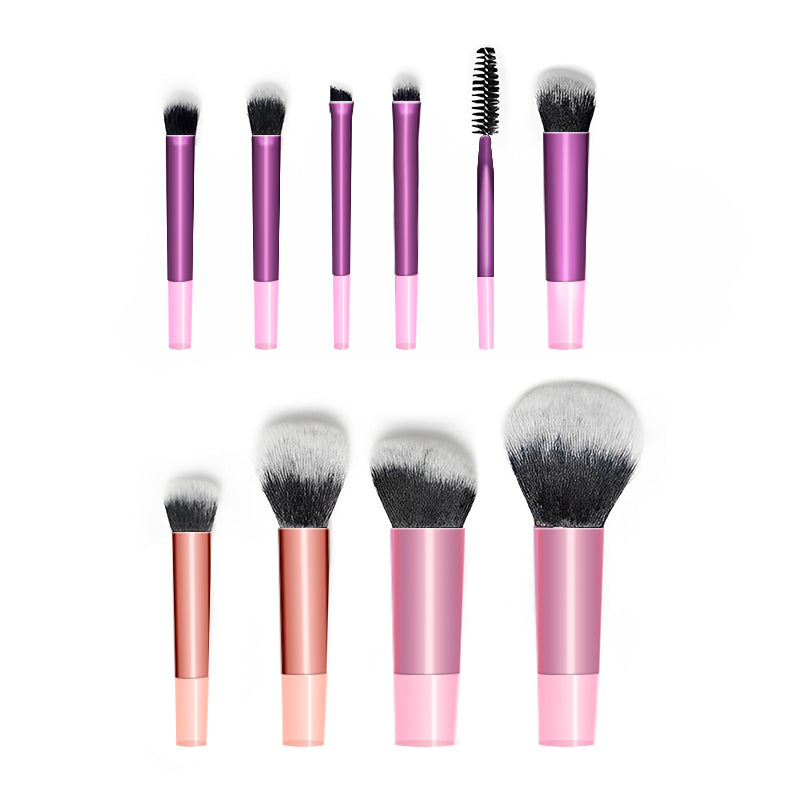 10 Piece Mini Brush Kit