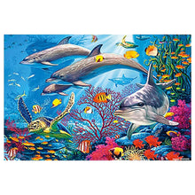 1000 Piece Educational Paper Jigsaw Puzzles_8