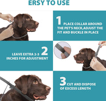 Pet Prevention Flea Collar_6