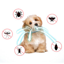 Pet Prevention Flea Collar_7