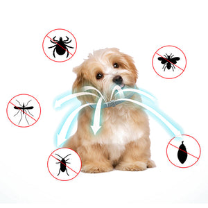 Pet Prevention Flea Collar_7