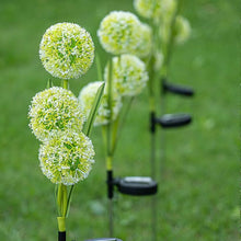 Solar Dandelion Light for Garden Decoration_3