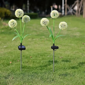 Solar Dandelion Light for Garden Decoration_4