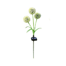 Solar Dandelion Light for Garden Decoration_6