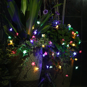 LED Solar Blossom String Lights