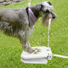 Cat and Dogs Step on Drinking Water Dispenser_12