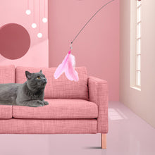 Fluffy Feather Interactive Pet Cat Teaser Cat Feather Wand_13