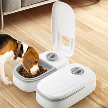 Single Meal Automatic Pet Feeder