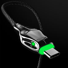 Snake Luminous Charging Cable