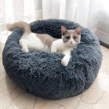 Long Plush Super Soft Pet Bed - Groupy Buy