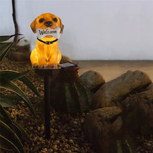 Cute Dog Resin Solar Yard Lights